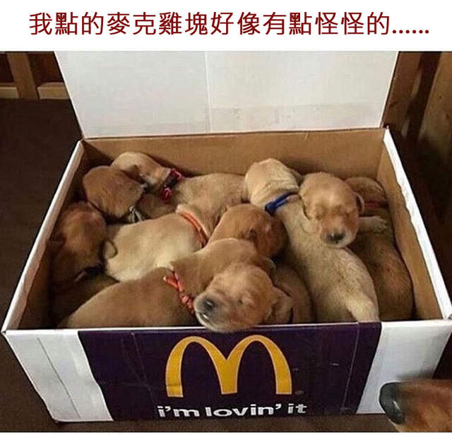 《小狗的奇行與主人的OS》我家的狗果真是外星汪吧? 《小狗的奇行與主人的OS》我家的狗果真是外星汪吧?