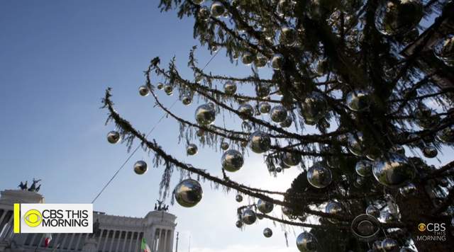 羅馬《超致鬱聖誕樹》看到樹好像看到我們的未來一樣......