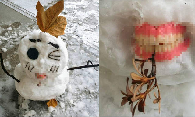 好....好可怕系列《在牙醫系外面的雪人》一看就知道牙醫系出來的(笑) 好....好可怕系列《在牙醫系外面的雪人》一看就知道牙醫系出來的(笑)