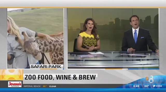 2016《現場直播出包合輯》被長頸鹿性騷擾這種事誰想得到 2016《現場直播出包合輯》被長頸鹿性騷擾這種事誰想得到