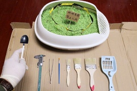 噁心注意《貓屎化石》這貓奴真的太無聊了啦XDD 噁心注意《貓屎化石》這貓奴真的太無聊了啦XDD