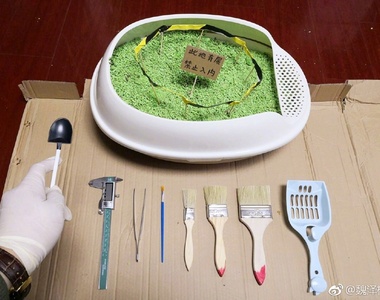 噁心注意《貓屎化石》這貓奴真的太無聊了啦XDD 噁心注意《貓屎化石》這貓奴真的太無聊了啦XDD