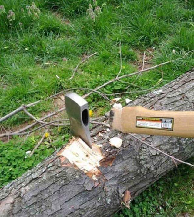 《別人最糟的一天》心情不好的看看這些圖片吧 《別人最糟的一天》心情不好的看看這些圖片吧