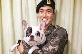 《SJ始源家飼養的狗咬死人》這隻狗一次毀了兩個人.... 《SJ始源家飼養的狗咬死人》這隻狗一次毀了兩個人....