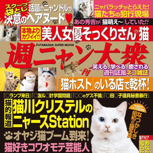 開腿露毛全都來《貓的封袋寫真》週刊風格的貓雜誌正式登場 開腿露毛全都來《貓的封袋寫真》週刊風格的貓雜誌正式登場
