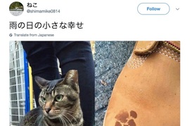 《雨天小確幸》貓星人留下期間限定紀念品 《雨天小確幸》貓星人留下期間限定紀念品
