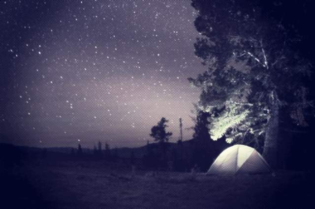 《森林裡的鬼故事》這麼多人都聽到了尖叫聲......