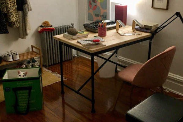 剛搬新家的主人正忙 結果《家貓開始玩起猜猜我在哪的遊戲》第二彈