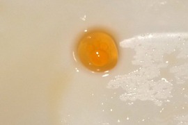 《鮭魚卵裡有肉球》集滿七顆可以召喚貓神出來實現所有願望嗎? 《鮭魚卵裡有肉球》集滿七顆可以召喚貓神出來實現所有願望嗎?