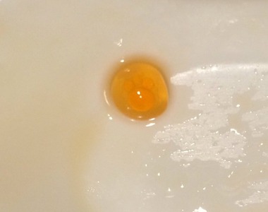 《鮭魚卵裡有肉球》集滿七顆可以召喚貓神出來實現所有願望嗎? 《鮭魚卵裡有肉球》集滿七顆可以召喚貓神出來實現所有願望嗎?