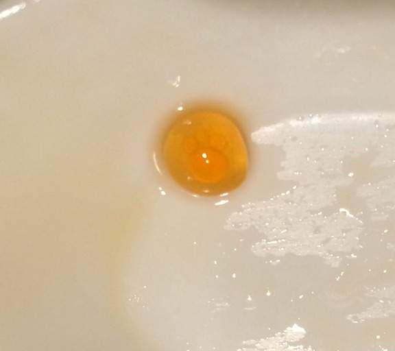 《鮭魚卵裡有肉球》集滿七顆可以召喚貓神出來實現所有願望嗎? 《鮭魚卵裡有肉球》集滿七顆可以召喚貓神出來實現所有願望嗎?