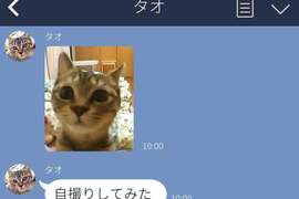《跟貓咪傳LINE的結果》那從今天開始訓練毛小孩用手機好惹ww 《跟貓咪傳LINE的結果》那從今天開始訓練毛小孩用手機好惹ww