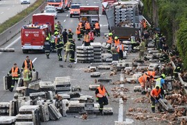 咕咕咕咕《近萬隻雞打翻在高速公路》咕咕咕咕 咕咕咕咕《近萬隻雞打翻在高速公路》咕咕咕咕