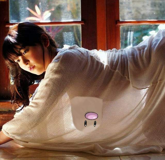 《靈長類最強歐派變PS素材》這用寶貝球也可以抓得到嗎ww（誤）