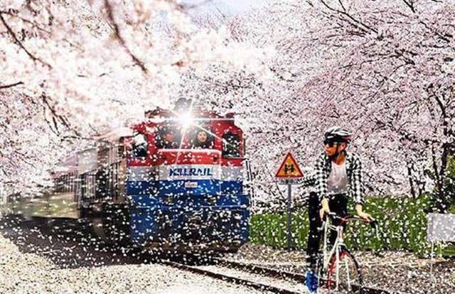 閃開讓專業的來《認真過頭結果大爆笑的PS照》仔細想想不P反而好點ww