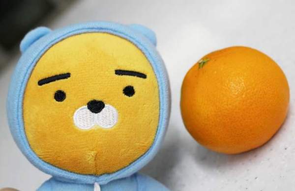 韓迷注意《如何用橘子做出韓國超人氣Ryan》死魚臉也被巧妙神還原