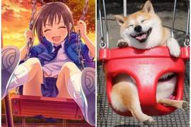 構圖相同《偶像大師灰姑娘...柴犬?(笑)》twitter瘋傳柴犬萌照 構圖相同《偶像大師灰姑娘...柴犬?(笑)》twitter瘋傳柴犬萌照