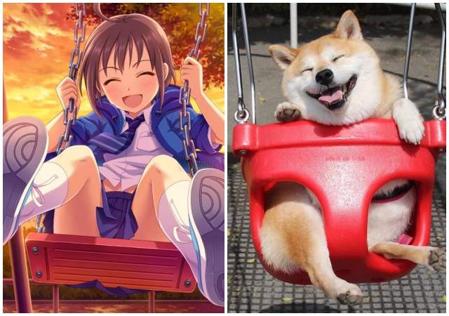 構圖相同《偶像大師灰姑娘...柴犬?(笑)》twitter瘋傳柴犬萌照 構圖相同《偶像大師灰姑娘...柴犬?(笑)》twitter瘋傳柴犬萌照