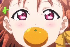 日本新年冷知識《鏡餅上的橘色水果叫什麼》柑橘類為什麼如此複雜…… 日本新年冷知識《鏡餅上的橘色水果叫什麼》柑橘類為什麼如此複雜……