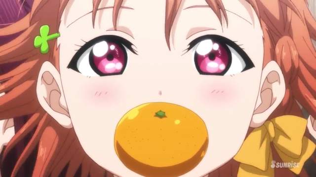 日本新年冷知識《鏡餅上的橘色水果叫什麼》柑橘類為什麼如此複雜……