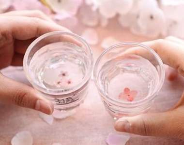 燒酒也來賞櫻《櫻花燒酒杯》開賣啦~賞櫻就是要用櫻花杯喝酒嘛 燒酒也來賞櫻《櫻花燒酒杯》開賣啦~賞櫻就是要用櫻花杯喝酒嘛