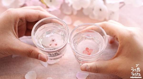 燒酒也來賞櫻《櫻花燒酒杯》開賣啦～賞櫻就是要用櫻花杯喝酒嘛