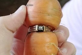 《奇蹟找回搞丟13年的婚戒》居然是在紅蘿蔔身上找到的 《奇蹟找回搞丟13年的婚戒》居然是在紅蘿蔔身上找到的