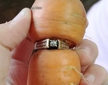 《奇蹟找回搞丟13年的婚戒》居然是在紅蘿蔔身上找到的 《奇蹟找回搞丟13年的婚戒》居然是在紅蘿蔔身上找到的