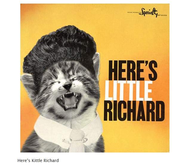 《喵的勒專輯封面》把原本封面改成貓咪版也太可愛了吧 《喵的勒專輯封面》把原本封面改成貓咪版也太可愛了吧