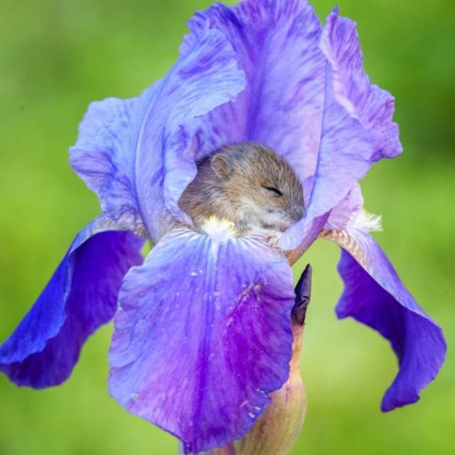 就是這麼神奇《大自然的巧合奇景》有些畫面要親眼看到才相信 就是這麼神奇《大自然的巧合奇景》有些畫面要親眼看到才相信