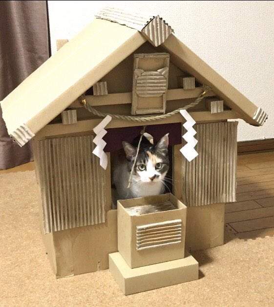 媽媽做的《紙箱貓咪神社》喵星人：還不快點拿罐罐來奉納ヾ(*ΦωΦ)ツ