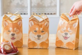 超萌《柴犬送禮紙袋》重現那可愛萌萌的小耳朵 超萌《柴犬送禮紙袋》重現那可愛萌萌的小耳朵