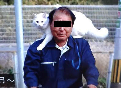 《單車喵喵癡漢》對著小學生講喵語的大叔好像有點厲害耶 《單車喵喵癡漢》對著小學生講喵語的大叔好像有點厲害耶