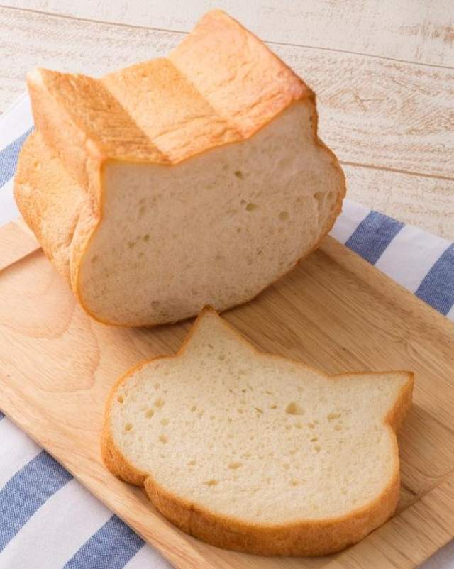 動物吐司旋風《貓咪吐司》登場～繼兔子吐司後的新萌吐司