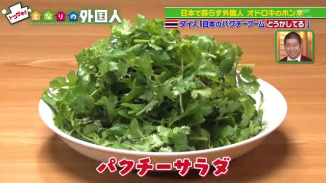 泰國人吐槽《日本人吃一堆香菜是不是有毛病》配角永遠不能當主角…… 泰國人吐槽《日本人吃一堆香菜是不是有毛病》配角永遠不能當主角……