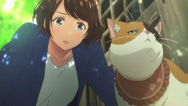 動物專業戶《櫻井孝宏》廣告中飾演萌萌喵星人 動物專業戶《櫻井孝宏》廣告中飾演萌萌喵星人
