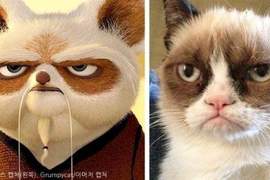 還原度超高的《卡通動物與真實對比圖》以後看卡通有陰影了(喂) 還原度超高的《卡通動物與真實對比圖》以後看卡通有陰影了(喂)