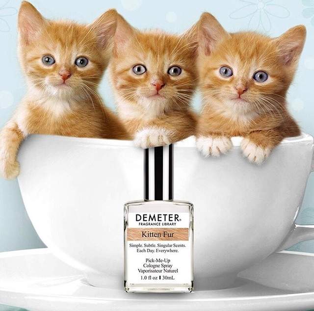 《貓毛味香水KITTEN FUR》真的會有小貓的味道嗎？