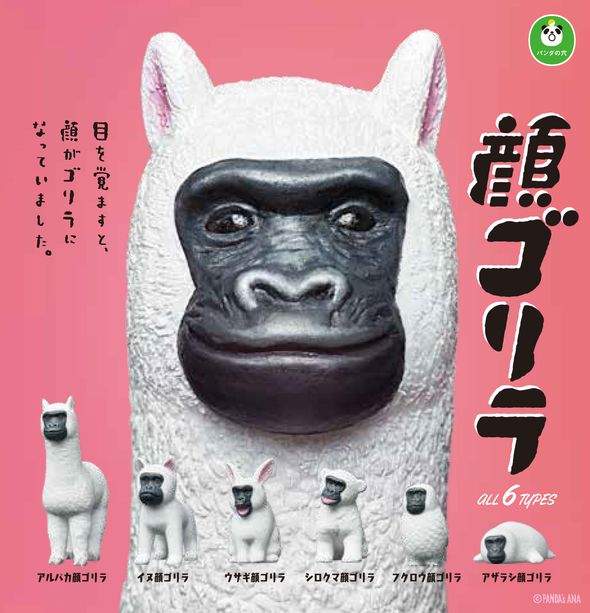 超有事《當動物都變成猩猩臉轉蛋》我一覺醒來就變猩猩臉啦~~ 超有事《當動物都變成猩猩臉轉蛋》我一覺醒來就變猩猩臉啦~~