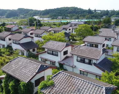 影片《福島核災6年後》人類絕跡的城市已成生機盎然綠色植物樂園 影片《福島核災6年後》人類絕跡的城市已成生機盎然綠色植物樂園