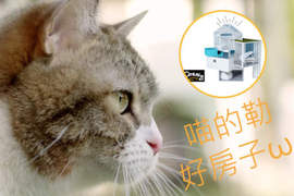 《喵的勒超好房》超療癒的日本21世紀不動產廣告 《喵的勒超好房》超療癒的日本21世紀不動產廣告