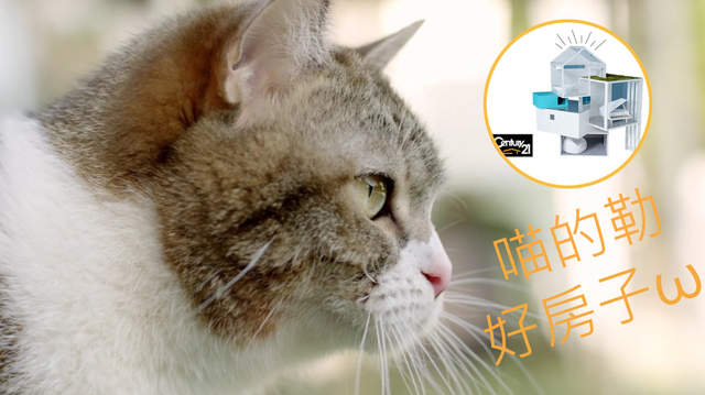 《喵的勒超好房》超療癒的日本21世紀不動產廣告 《喵的勒超好房》超療癒的日本21世紀不動產廣告