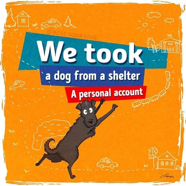 插畫《領養狗的前後差別》一個決定就是幸福的開始 插畫《領養狗的前後差別》一個決定就是幸福的開始