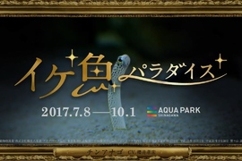水族館活動請來《知名男聲優們來為魚配音》瞬間讓人想去看展覽了XD 水族館活動請來《知名男聲優們來為魚配音》瞬間讓人想去看展覽了XD