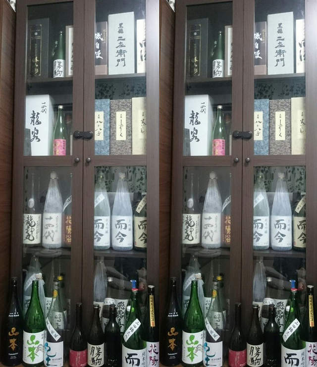 《收集狂把拔的感動》老婆全力支持還買個櫃子讓你擺