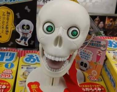 《會說話的骷髏模型》超越附錄品質的人體模型連大人看了都想入手 《會說話的骷髏模型》超越附錄品質的人體模型連大人看了都想入手