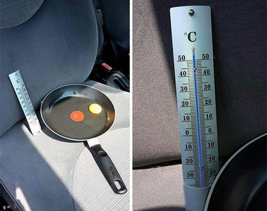 《炎熱車內的煎蛋實驗》千萬不要把寵物留在炎熱的車子內... 《炎熱車內的煎蛋實驗》千萬不要把寵物留在炎熱的車子內...