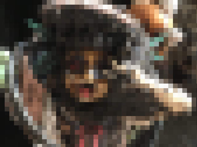 驚悚圖片《釣魚釣到八九寺真宵公仔》上面肯定有前人的怨念…… 驚悚圖片《釣魚釣到八九寺真宵公仔》上面肯定有前人的怨念……