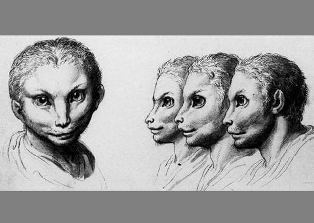 《如果人類從貓演化來》那我們會用貓語溝通嗎？