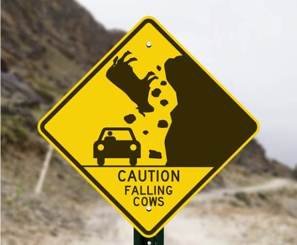 《奇妙道路標誌》小心突然有牛從天而降!? 《奇妙道路標誌》小心突然有牛從天而降!?